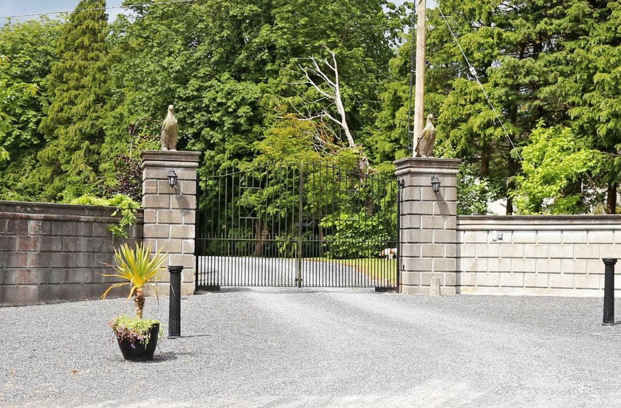 Glebe House Pensionat Taghshinny Exteriör bild